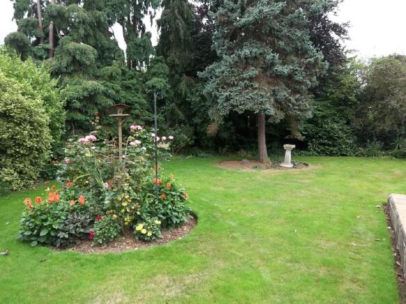 Photo 22