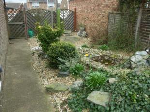 Side Garden