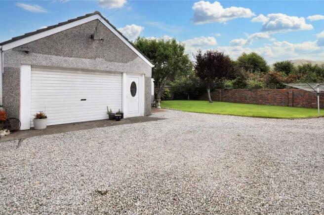 Back Garden