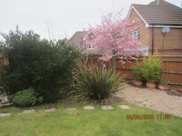 Photo 17