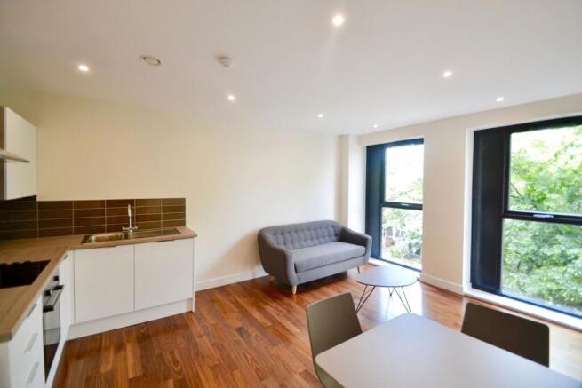 Living & Kitchen Area