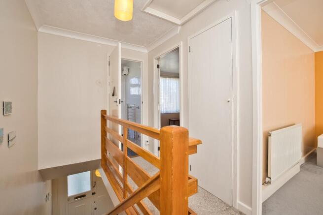 Picture 8