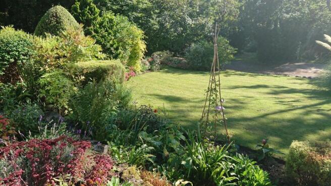 Garden view  .JPG