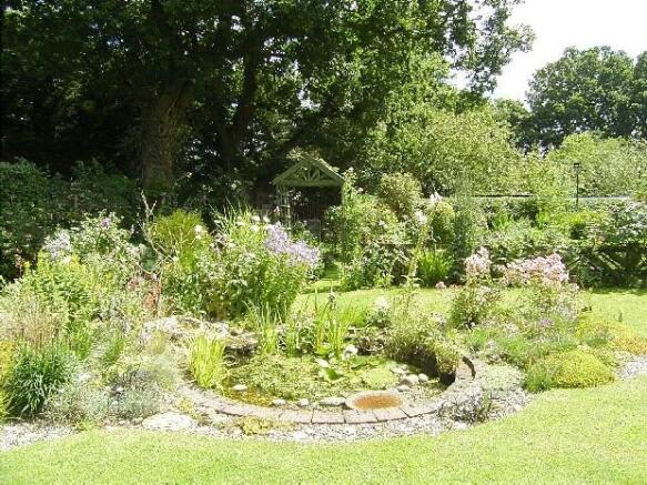 Pond
