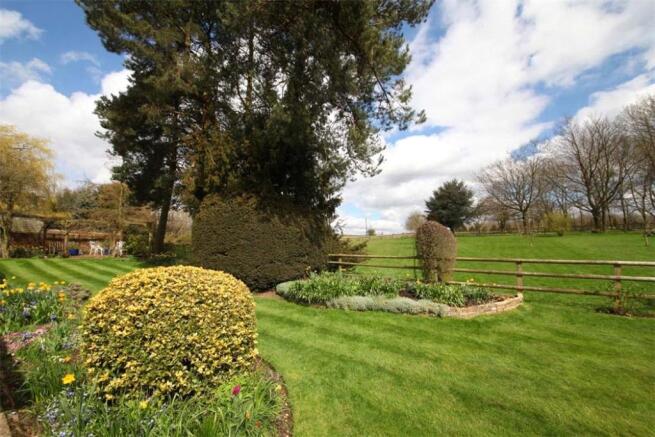 Woodrow: Garden