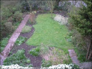 Front Garden 2