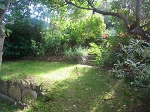 Garden 5