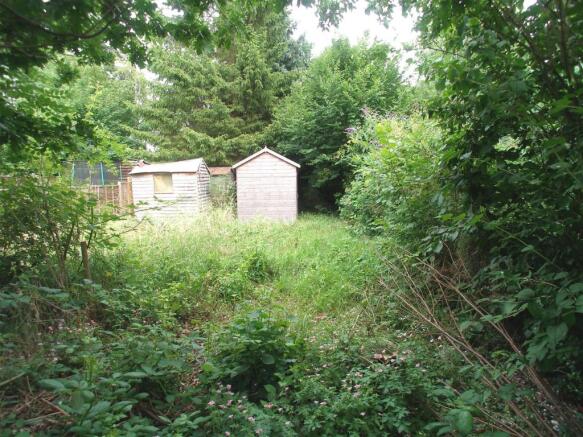 Rear Gardens