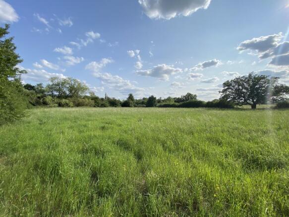Meadows to the rear