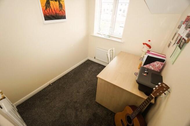 Photo15