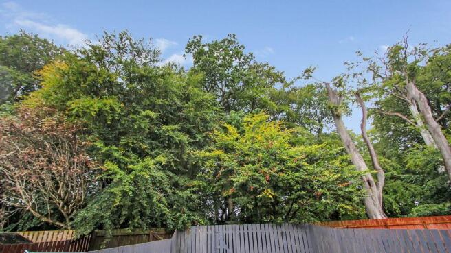 View from Property at Back