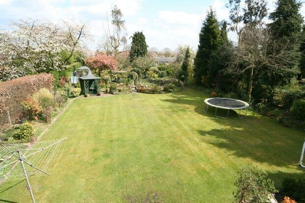 Garden View From Bed