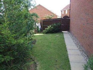 Side garden