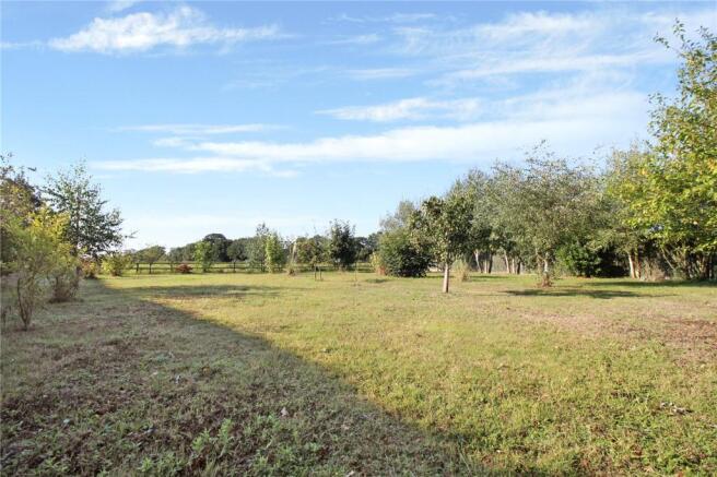Orchard