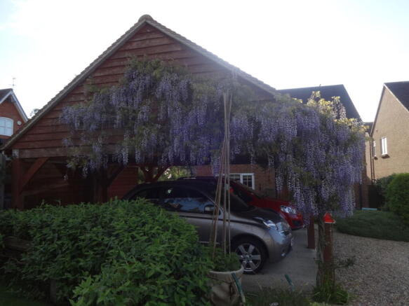 Photo 36