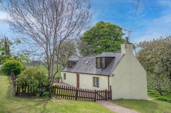 The Property