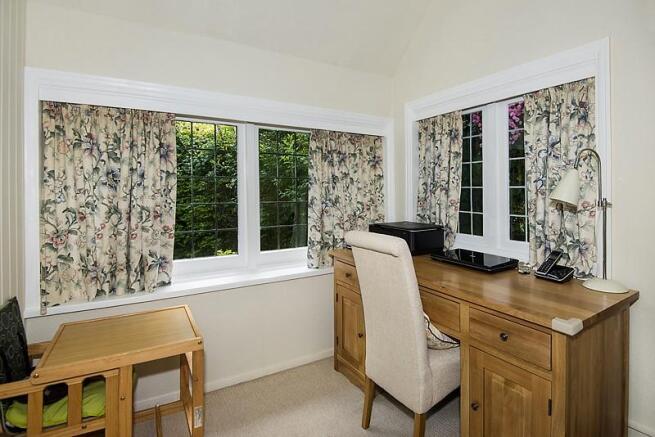 Study Area