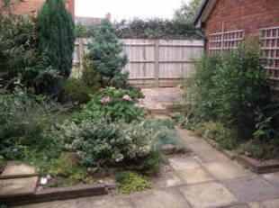 Photo 5