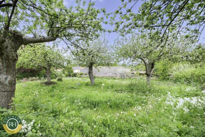 rear garden.jpg