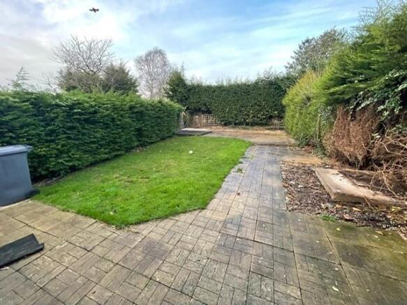 Garden.jpg