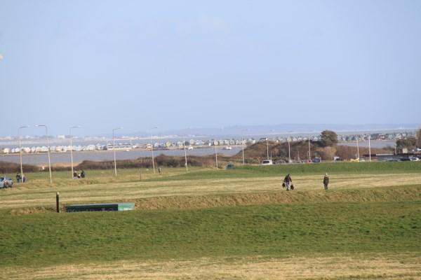 Picture No. 7