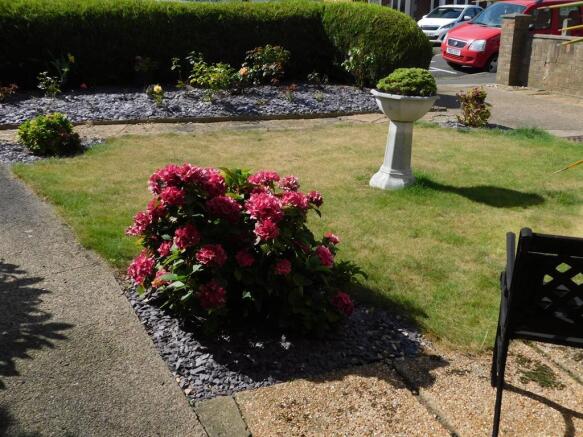 Garden 2
