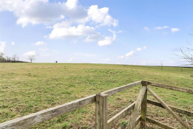 Field