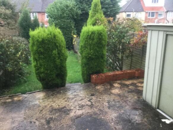 Photo 21