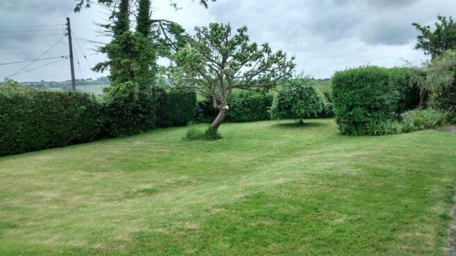 Lawn