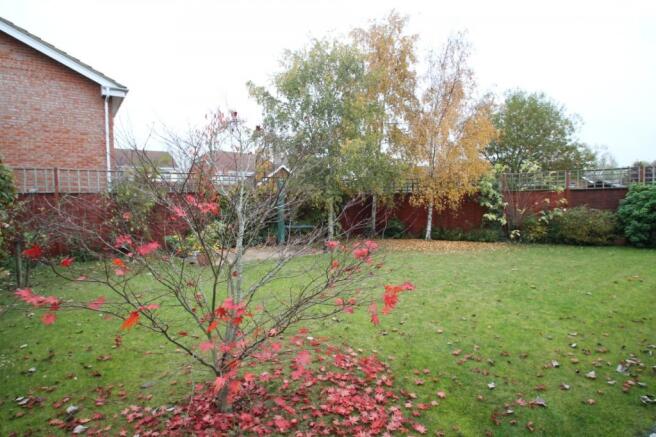Garden 2
