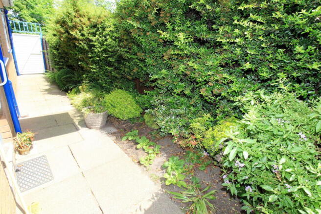 Photo 24