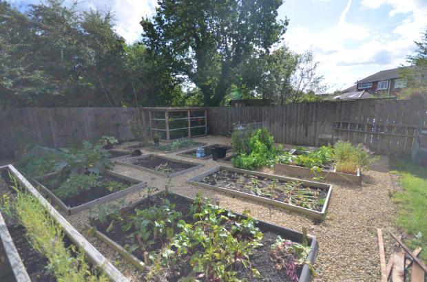 Veg Patch