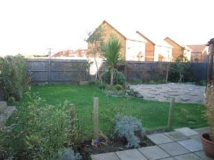 Garden 1