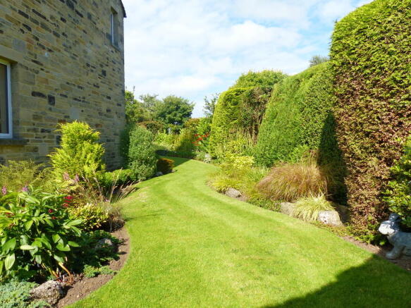 Garden 1