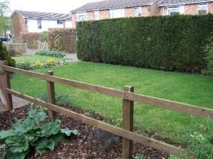front garden