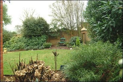 Another garden shot