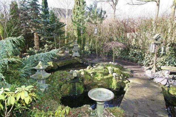 Mature Garden