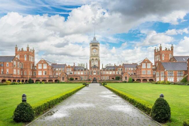 Photo 11