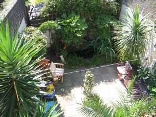 Tropical Garden