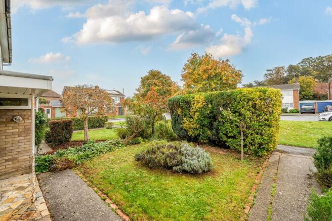 Front Garden (1)