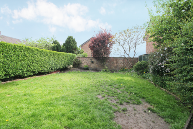 IMAGE 13