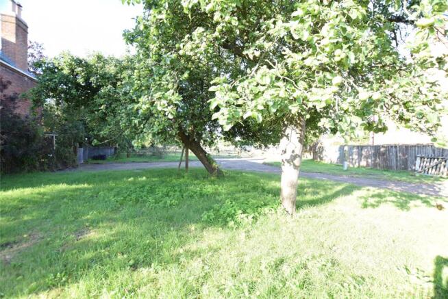 Side Garden and Driveway