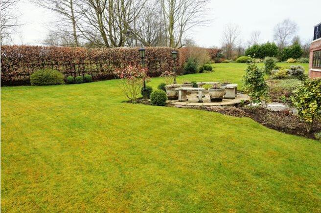 Large Garden