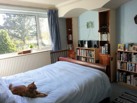 Photo 7