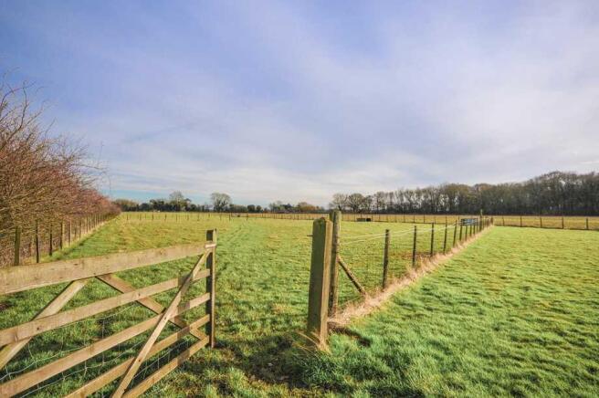 Paddocks
