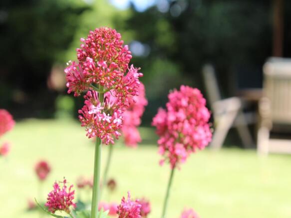 GARDEN
