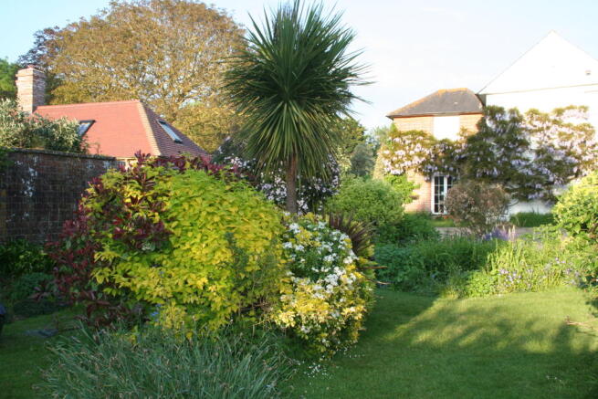 Flowers and Pond