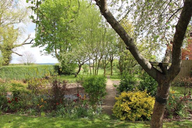 Garden at Back