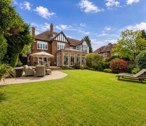 Back Garden
