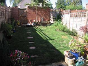 Photo 5